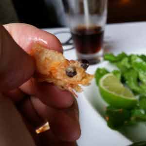 Guatemala shrimp